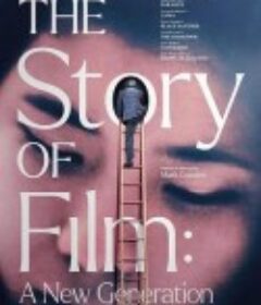 电影史话：新生代 The Story of Film: A New Generation            (2021)