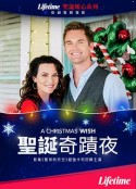 圣诞奇迹夜 A Christmas Wish            (2019)
