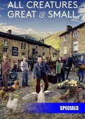 万物生灵：2021圣诞特别集 All Creatures Great and Small: Christmas Special            (2021)