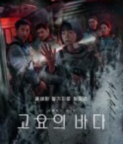 寂静之海 고요의 바다            (2021)