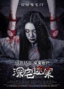 深宅迷案            (2021)