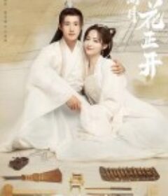 清风朗月花正开            (2021)