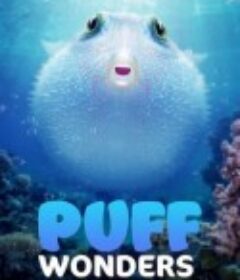 河豚之家：神奇的珊瑚礁 Microworlds: Reef            (2021)