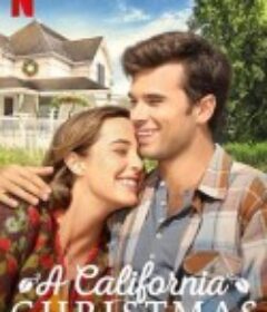 加州圣诞：旧金山的灯光 A California Christmas: City Lights            (2021)