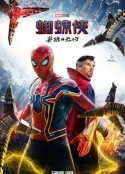 蜘蛛侠：英雄无归 Spider-Man: No Way Home            (2021)