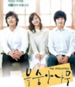 桃树 복숭아나무            (2011)