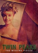 双峰：遗失的碎片 Twin Peaks: The Missing Pieces            (2014)