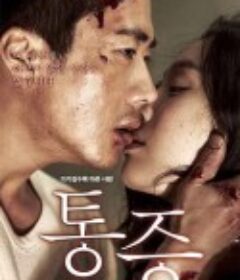 痛症 통증            (2011)