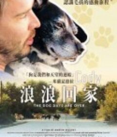 浪浪回家 Cody: the dog days are over            (2019)