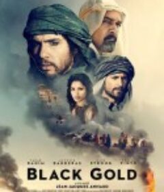 黑金 Or noir            (2011)