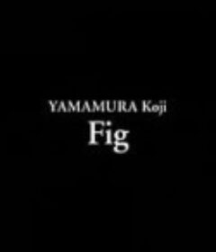 无花果 無花果            (2006)