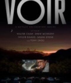 看电影 Voir            (2021)