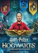 哈利·波特：霍格沃茨学院锦标赛 Harry Potter: Hogwarts Tournament of Houses            (2021)