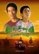 哥哥树            (2005)