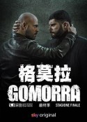 格莫拉 第五季 Gomorra: La serie Season 5            (2021)