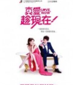 真爱趁现在 真愛趁現在            (2012)