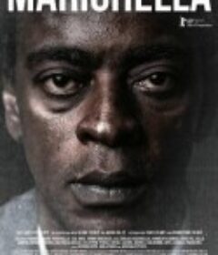 马里盖拉 Marighella            (2019)