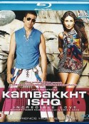 难以置信的爱 Kambakkht Ishq            (2009)