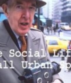 小型公共空间的社会生活 the social life of small urban spaces            (1988)