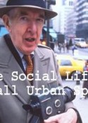 小型公共空间的社会生活 the social life of small urban spaces            (1988)