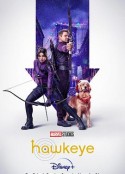 鹰眼 Hawkeye            (2021)