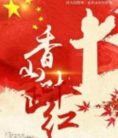 香山叶正红            (2021)