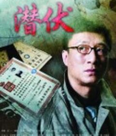 潜伏            (2009)