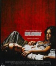 大毒枭 Blow            (2001)