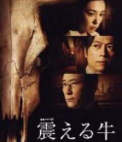 颤抖的牛 震える牛            (2013)