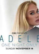 阿黛尔2021演唱会特别节目 Adele One Night Only            (2021)