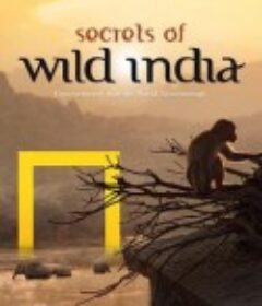 国家地理：狂野印度 Secrets of Wild India            (2012)