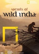 国家地理：狂野印度 Secrets of Wild India            (2012)