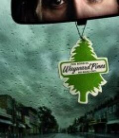 黑松镇 第一季 Wayward Pines Season 1            (2015)