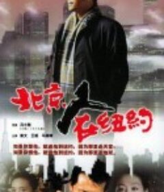 北京人在纽约            (1993)