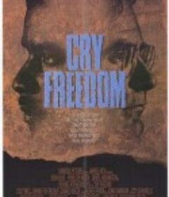 哭喊自由 Cry Freedom            (1987)