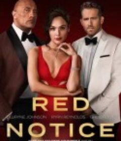 红色通缉令 Red Notice            (2021)
