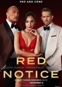红色通缉令 Red Notice            (2021)