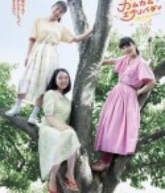 Come Come Everybody カムカムエヴリバディ            (2021)