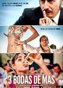 婚礼三个多 Tres bodas de más            (2013)
