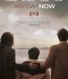 爱若此时 Any Day Now            (2012)
