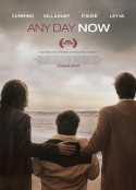 爱若此时 Any Day Now            (2012)