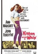 混世女魔星 Kitten with a Whip            (1964)
