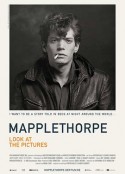 罗伯特·梅普勒索普：看看那些照片 Mapplethorpe: Look at the Pictures            (2016)
