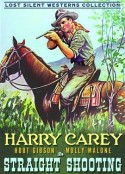 正义之击 Straight Shooting            (1917)