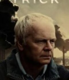 骗局 The Trick            (2021)