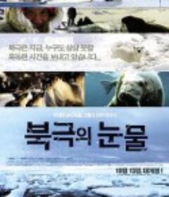 北极的眼泪 북극의 눈물            (2009)