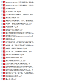 全国各地著名特色小吃配方技术教程 地摊小吃 全套视频资料 2020