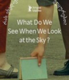 当我们仰望天空时看见什么？ რას ვხედავთ, როდესაც ცას ვუყურებთ            (2021)