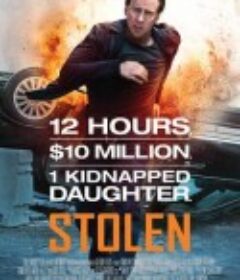 劫案迷云 Stolen            (2012)