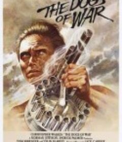 战争猛犬 The Dogs of War            (1980)